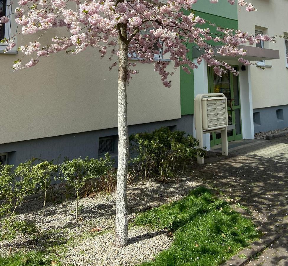 Schoene Kleine Wohnung Cottbus Kültér fotó